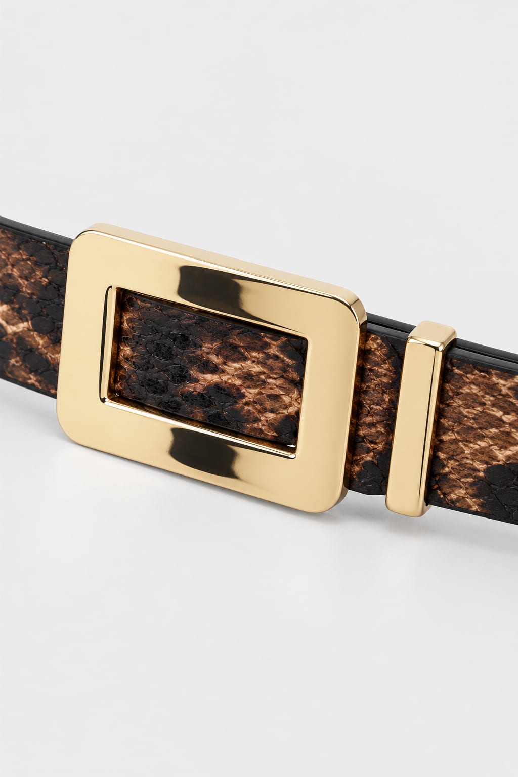 Belt | Snake Print Gold-Buckle Gold-Belt CIZARO - Cizaro Jeans