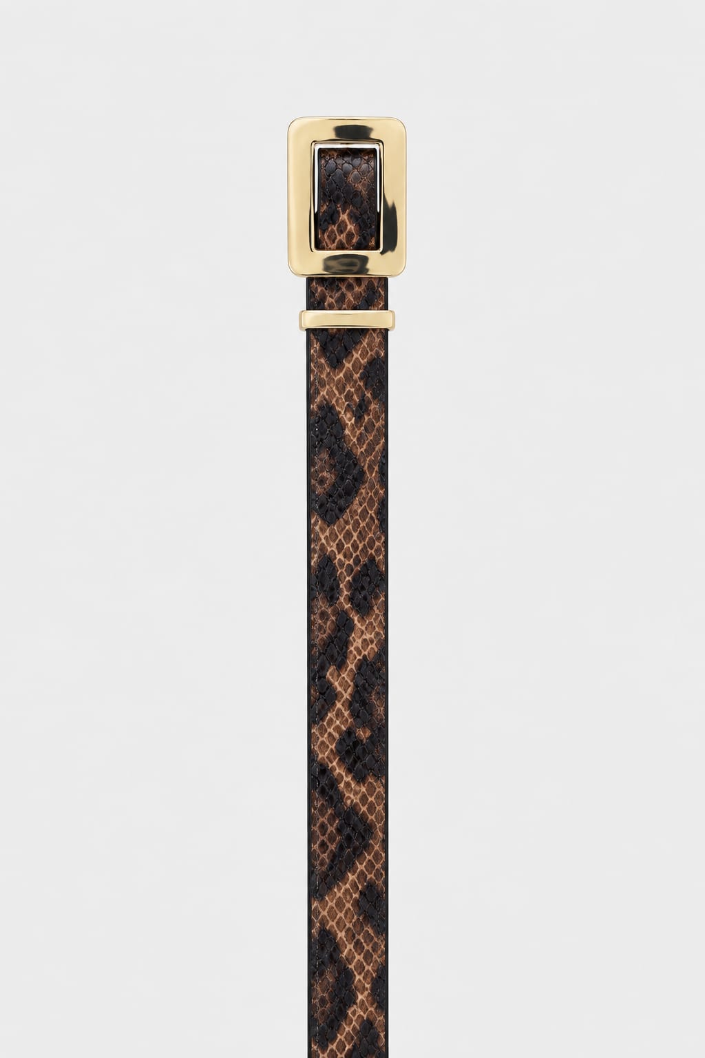 Belt | Snake Print Gold-Buckle Gold-Belt CIZARO - Cizaro Jeans